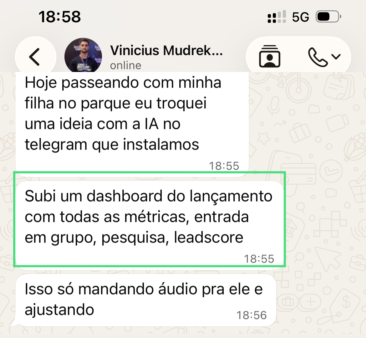 Mensagem de Vinicius sobre o LEON